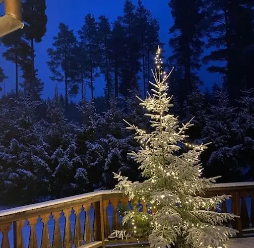 Chalet Laftet I Strandkanten Med Bade Og Fiske Muligheter Vradal