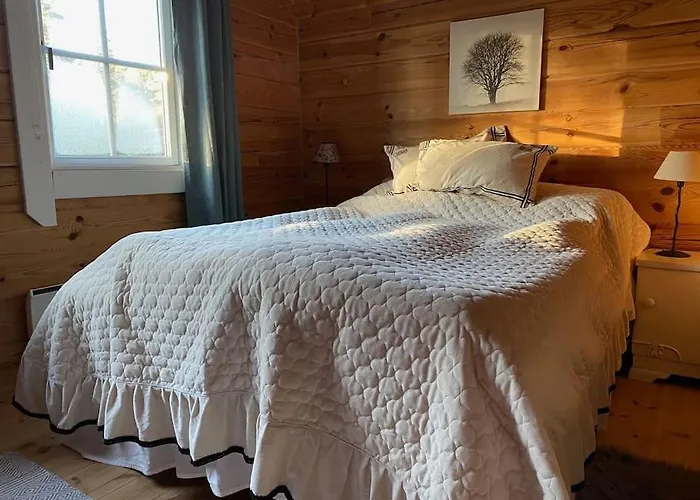 Laftet I Strandkanten Med Bade Og Fiske Muligheter Chalet