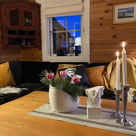 Laftet I Strandkanten Med Bade Og Fiske Muligheter * Vradal